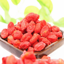 Baies de goji fraîches séchées à vendre baies de goji de goji chinois de haute qualité